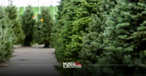 Así puedes reciclar tu árbol de Navidad en la alcaldía Miguel Hidalgo