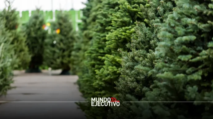 Así puedes reciclar tu árbol de Navidad en la alcaldía Miguel Hidalgo
