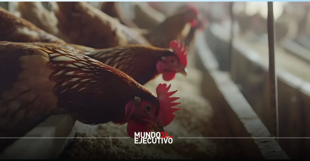 inversión de Pilgrim’s Pride en México