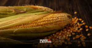 Importaciones de maíz en México