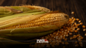 Importaciones de maíz en México