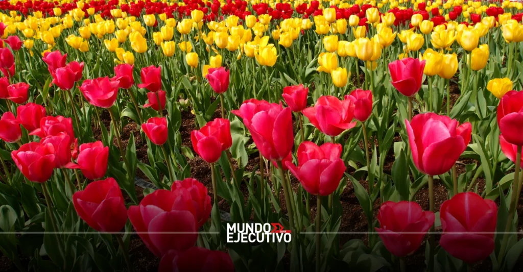 ¿Qué hacer el fin de semana del 20, 21 y 22 de marzo 2026 en CDMX?