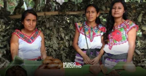 Decretan al Turismo Comunitario como prioridad de México en el DOF