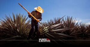 Industria del tequila en México crece en valor y se posiciona a nivel global