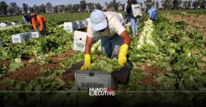 Mexicanos en Estados Unidos forman la octava economía del mundo, superando a Brasil y Canadá