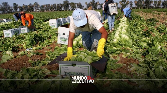 Mexicanos en Estados Unidos forman la octava economía del mundo, superando a Brasil y Canadá