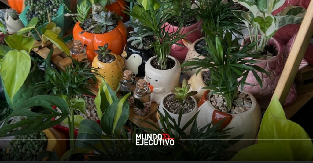 ¿Cuándo y dónde será el Plant Fest 2026 en CDMX?