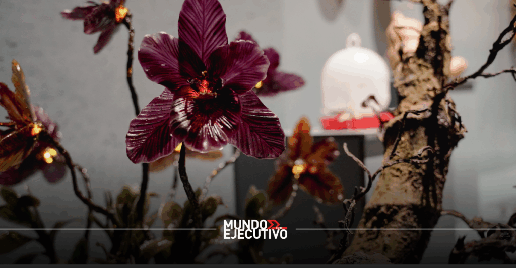 Exposición 'Biodiseño MX: Territorios vivos': Horarios, precio de boletos y qué ver en el Franz Mayer