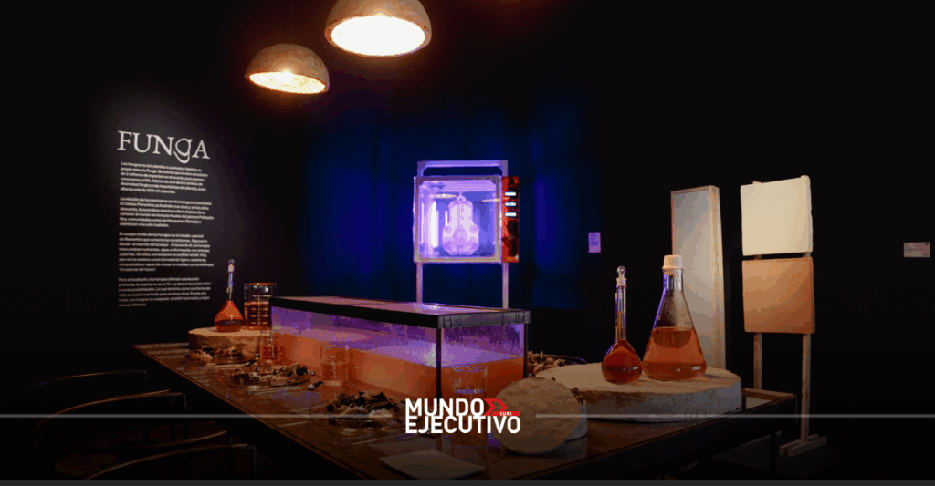 Exposición 'Biodiseño MX: Territorios vivos': Horarios, precio de boletos y qué ver en el Franz Mayer