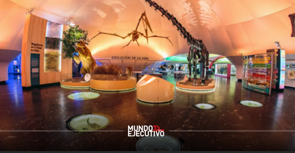 Noche de Museos CDMX mayo 2026: Todo lo que necesitas saber