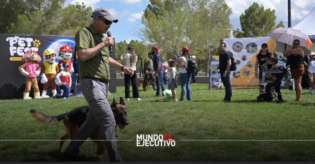 Todo lo que debes saber sobre el PetFest 2026: adopciones, veterinarios, pasarelas y cultura pet friendly