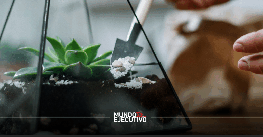Taller para crear tu propio terrario en la CDMX este fin de semana del 22, 23 y 24 de mayo 2026