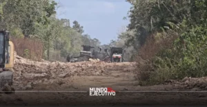 Ambientalistas denuncian construcción de carretera sobre el acuífero Maya en Tulum