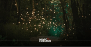 Luciérnagas en Nanacamilpa: el espectáculo natural de temporada de lluvias