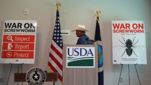 Ganado bovino en instalaciones ganaderas cerca de la frontera México-Estados Unidos