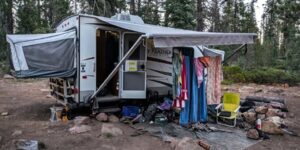 Agentes federales en operativo de rescate en bosque nacional de California tras secuestro de biólogos