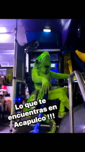Chofer disfrazado de iguana conduciendo autobús urbano en Acapulco, Guerrero, generando fenómeno viral en redes sociales