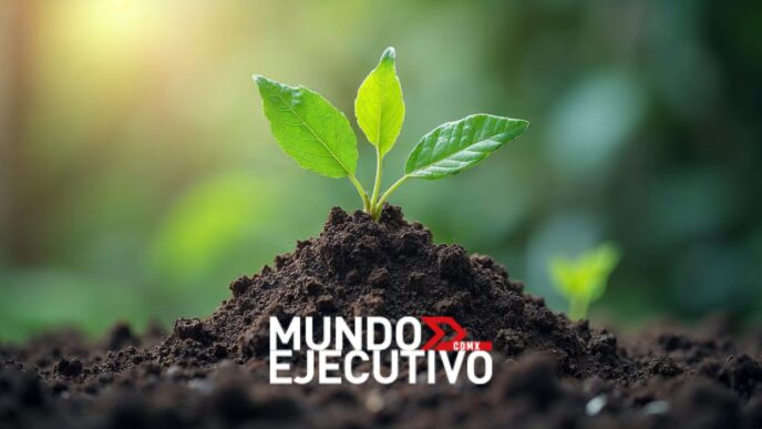 Mercado de carbono México: podría duplicarse hacia 2030
