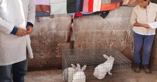 La UATx impulsa la cunicultura en Tlaxcala con proyectos de impacto social