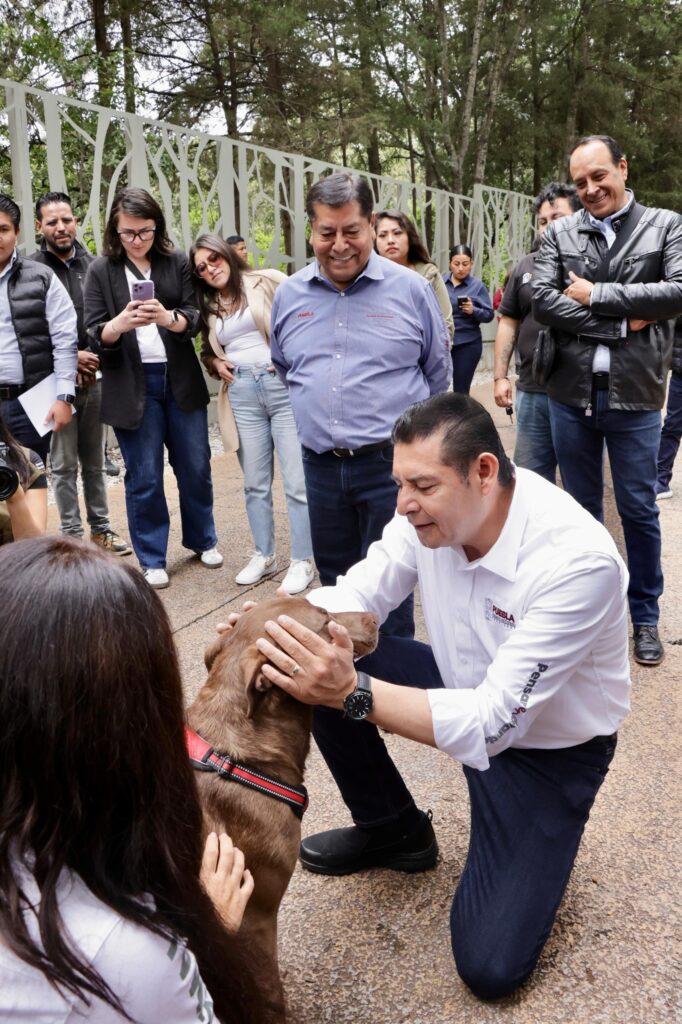 proyecto de bienestar animal Puebla