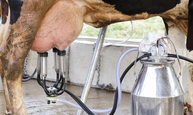 producción leche Puebla