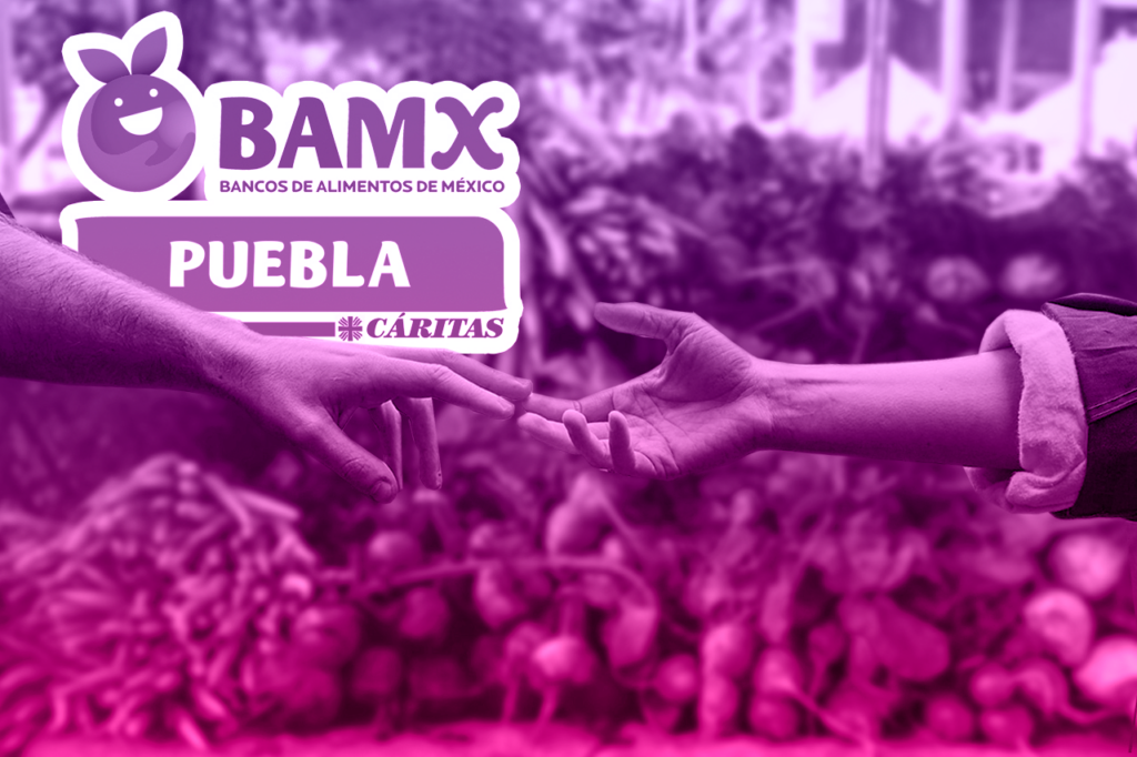 Foro Creadores México 2025 llegará a Puebla los días 12 y 13 de noviembre BAMX